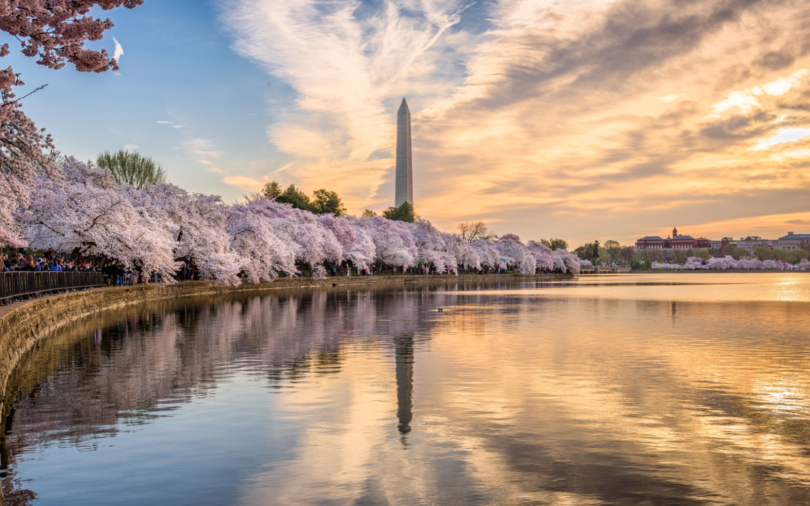 The 10 Best Boutique Hotels in Washington DC in 2024