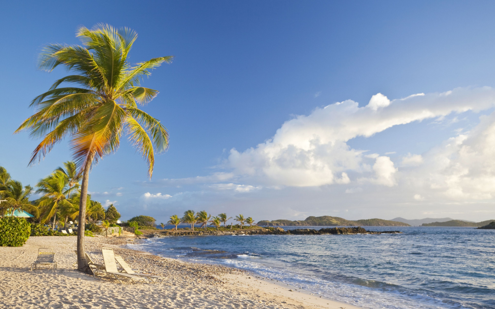 Picturesque view of the white sand beach on St. Thomas with four beach chairs under a single palm tree in the middle of the beach and waves lapping the shoreline for a piece titled Are the Virgin Islands Safe to Visit