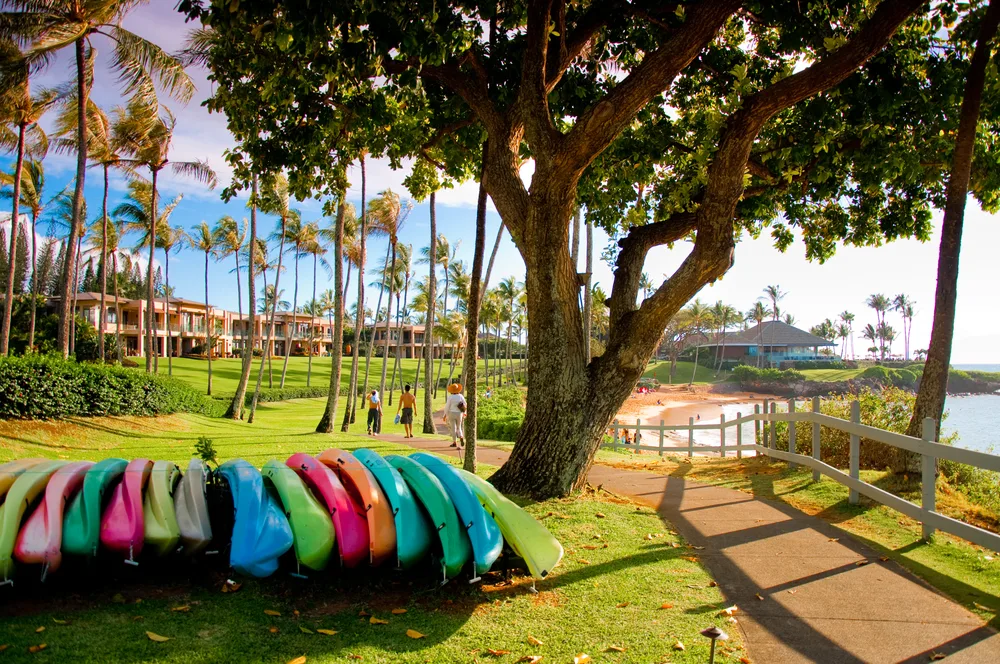 Colorful kayaks line the boardwalk by a shopping center and condos with perfectly-manicured grass on either side for a piece titled Is Maui Safe to Visit