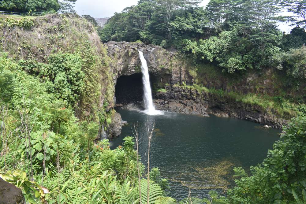 Neat view of the serene Rainbow Falls in Hilo pictured for a guide to the safety of the Big Island with trees all around the sunken-down pool