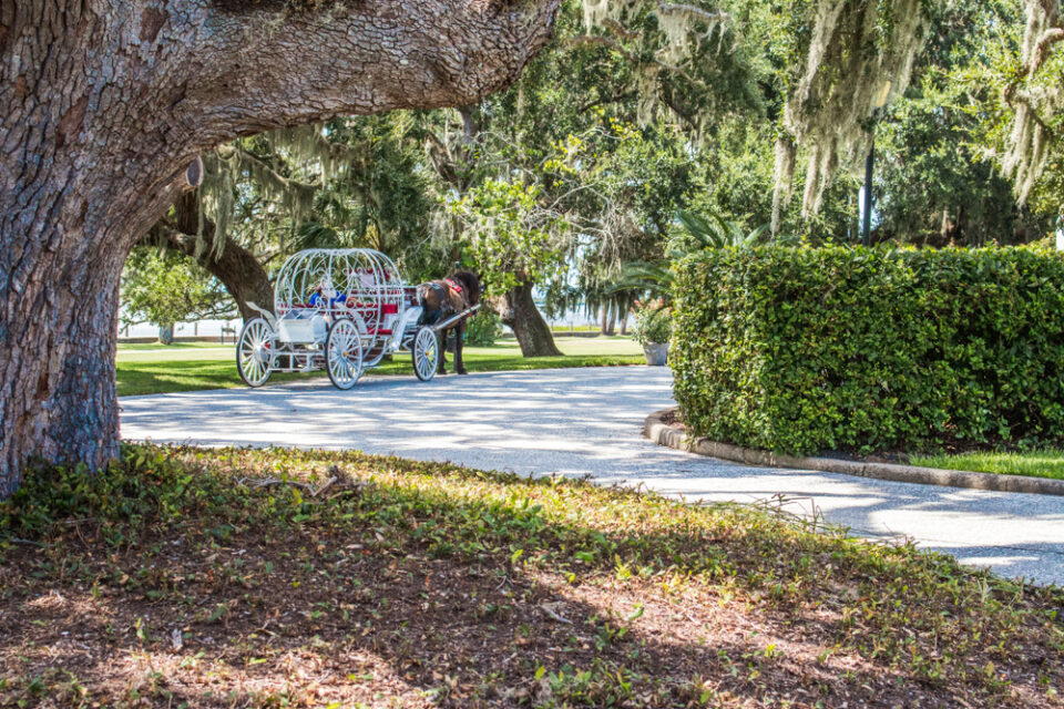 📅 The Best Time to Visit Jekyll Island in 2024 | When to Go