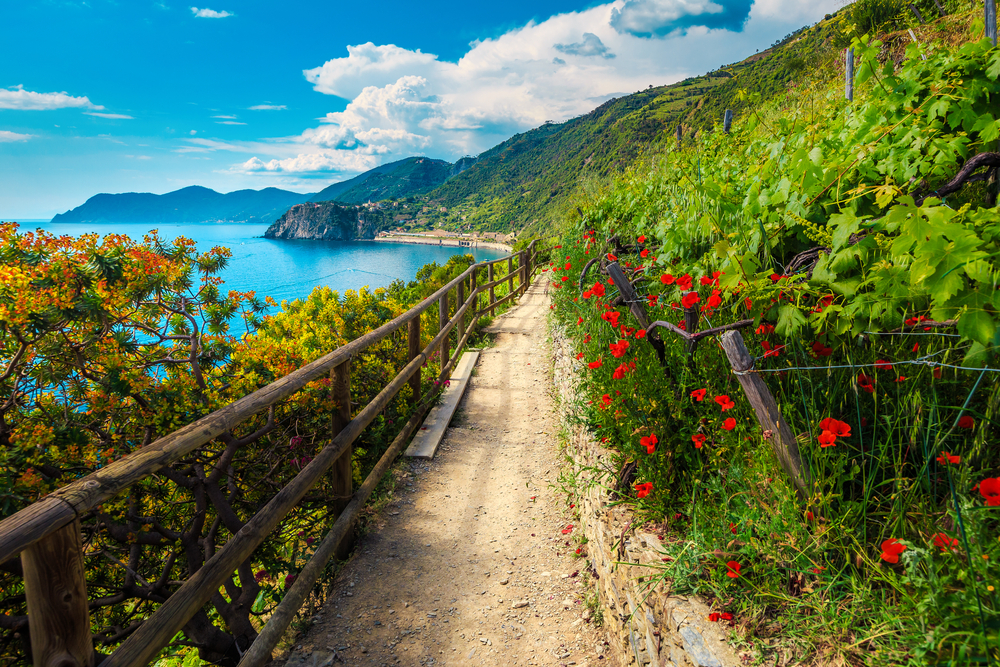 Gravel walking path with a wooden guardrail on the left protecting the hiker from falling into the ocean pictured in Manarola, Cinque Terre