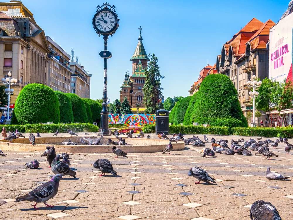 Clock and historical buildings in the middle of a city square with pigeons all around pictured during the best time to travel to Romania
