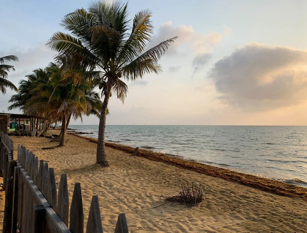 Gorgeous view of a neat fence running along the brown sand beach in Dangriga, Belize