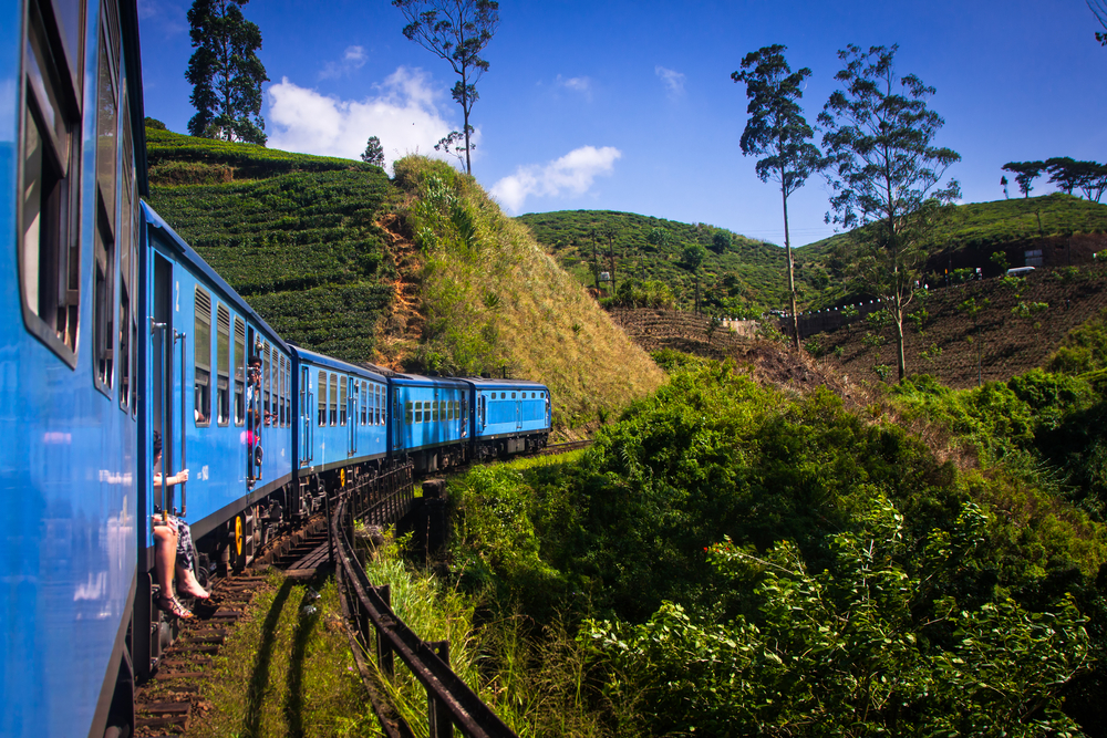 Neat picture of a blue train going from Nuware Eliya and making its way between the tea plantation trees for a piece on whether or not Sri Lanka is safe to visit