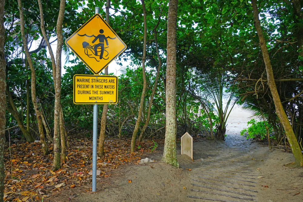 Yellow sign showing a person being stung by a jellyfish for a piece on whether or not the Great Barrier Reef is safe to visit