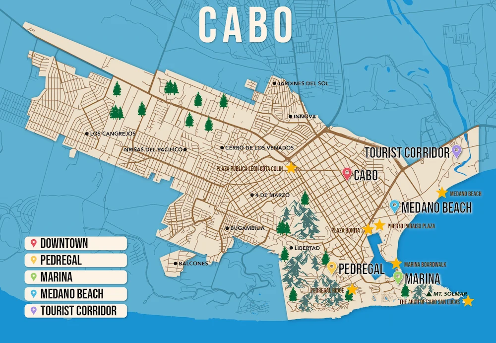 Where to Stay in Cabo map in vector format featuring the best areas of town