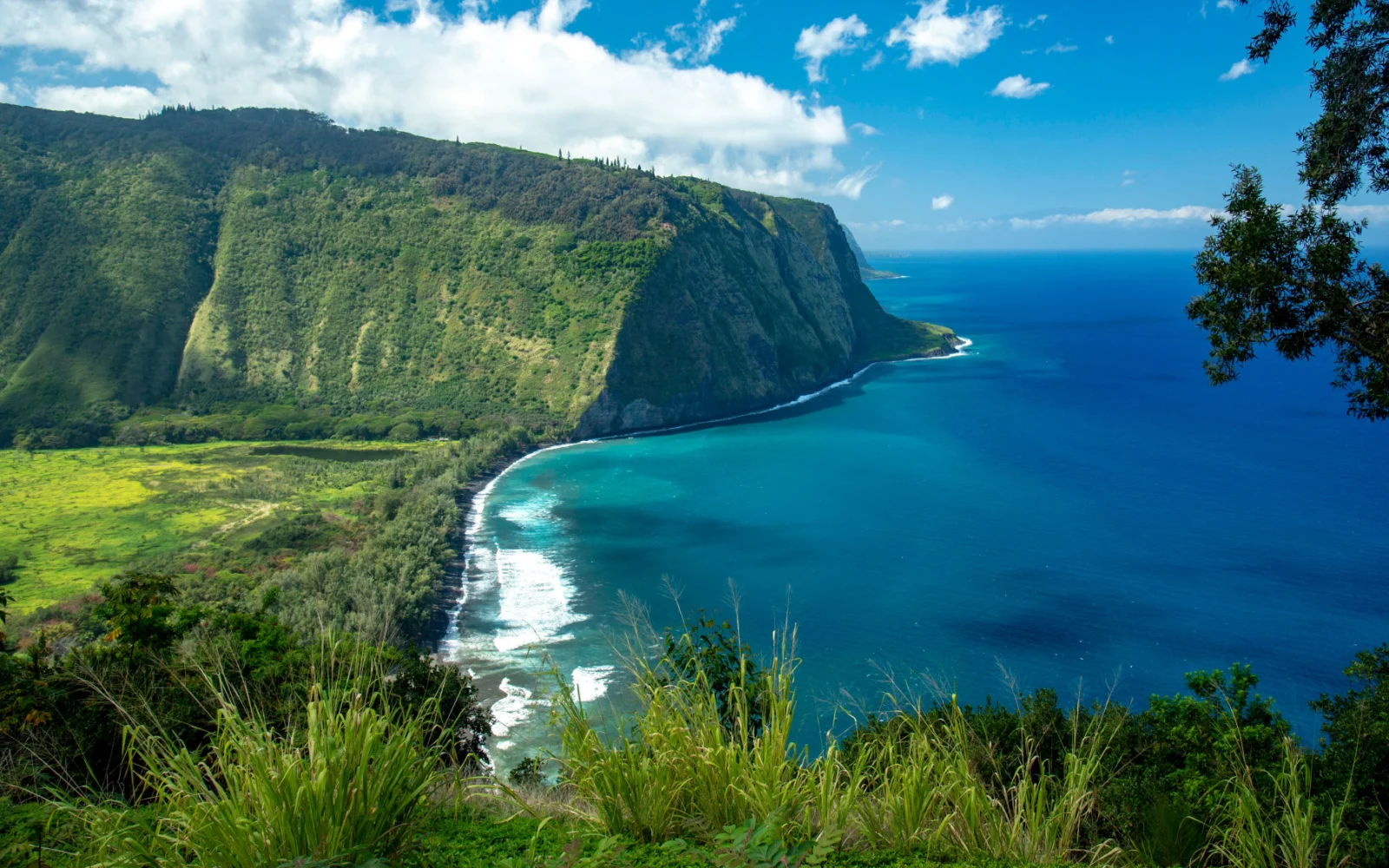 The 15 Best Things to Do on the Big Island in 2023