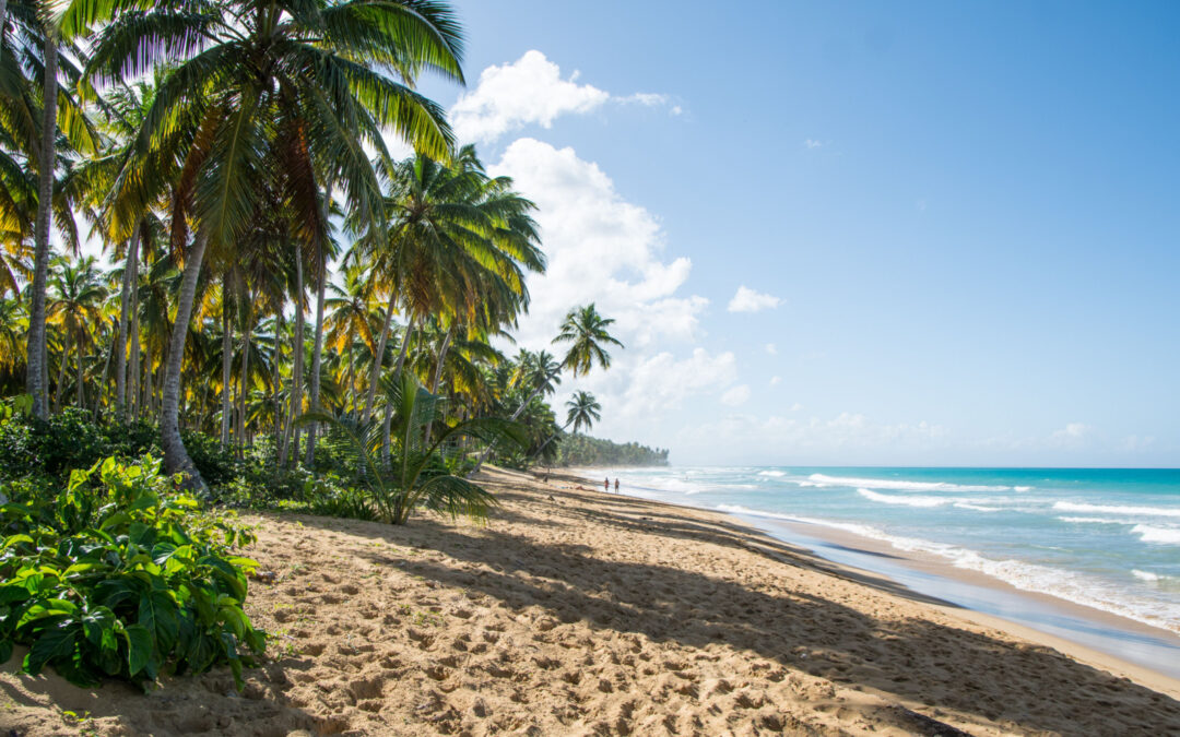 Is The Dominican Republic Safe To Visit In 2024 Safety Concerns   Shutterstock 1225182790 1080x675 