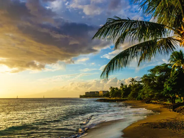 Featured image for a guide to the average cost of a Hawaiian trip pictured with a palm tree and the Maui beach in the foreground and the sun setting over the ocean