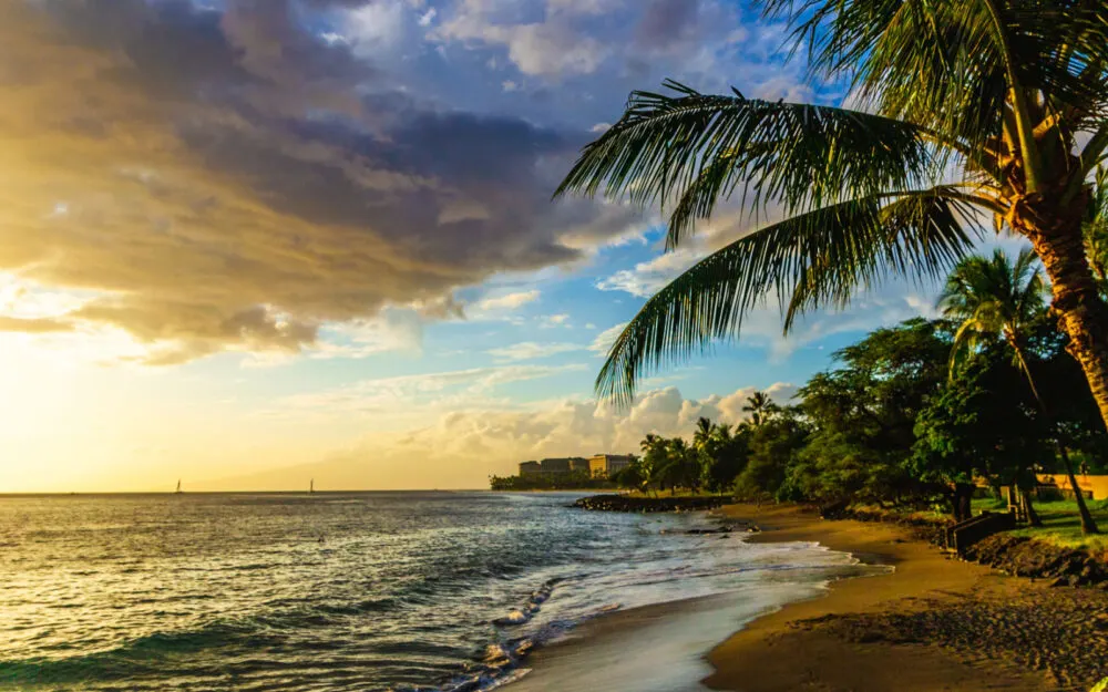 Featured image for a guide to the average cost of a Hawaiian trip pictured with a palm tree and the Maui beach in the foreground and the sun setting over the ocean
