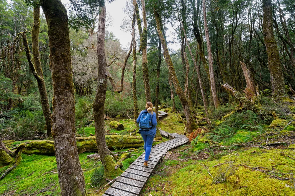 Cradle Mountain National Park in Tasmania, one of our top picks for where to stay in Australia, pictured with a backpacker making her way across a metal bridge lying on moss