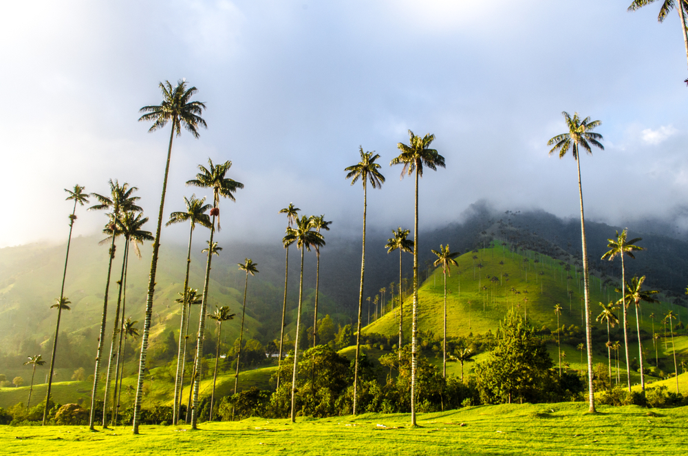 As an image for a guide to the average cost of a trip to Colombia, a hazy day over a lush mountain in the Cocora Valley