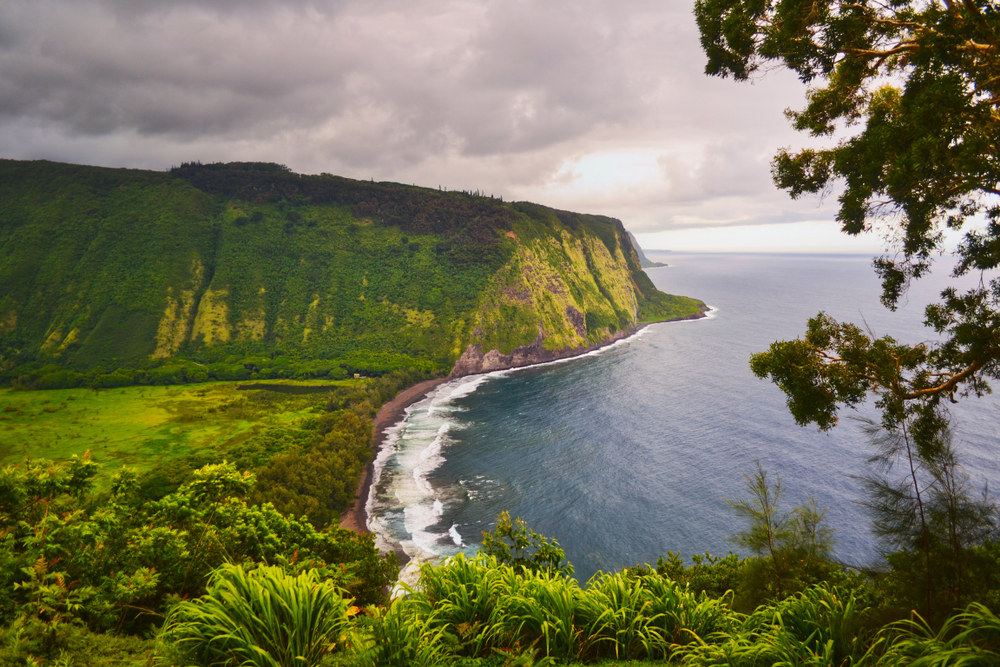 Gorgeous view from a hiking trail overlooking the Waipi'o Valley, one of our top picks for things to do on the Big Island