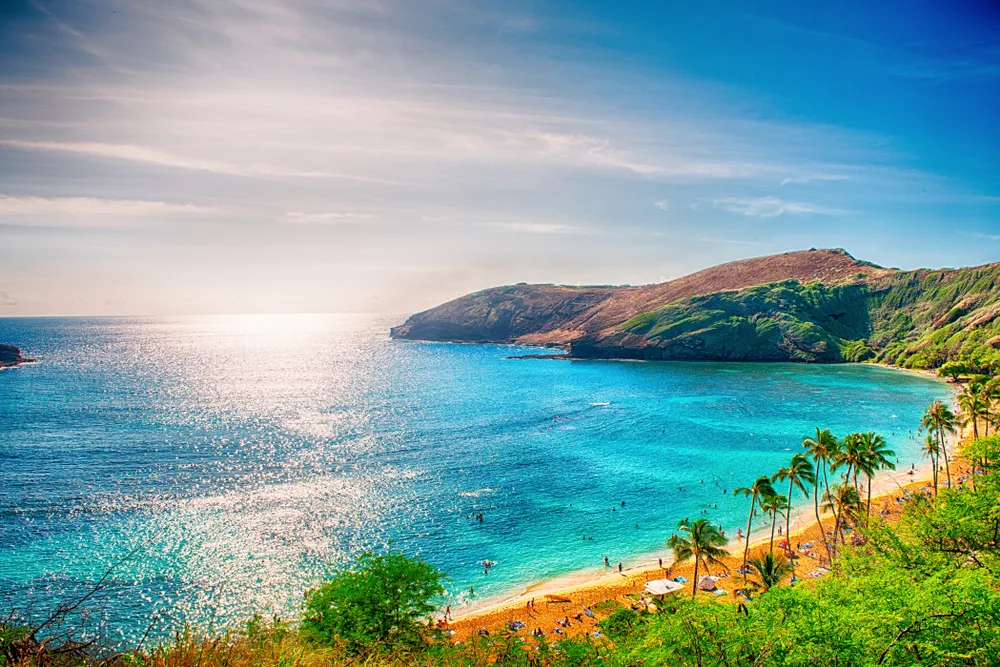 Beautiful view of a beach in Honolulu, Hawaii with sunlight reflecting on the ocean and palm trees around the crescent shaped shore