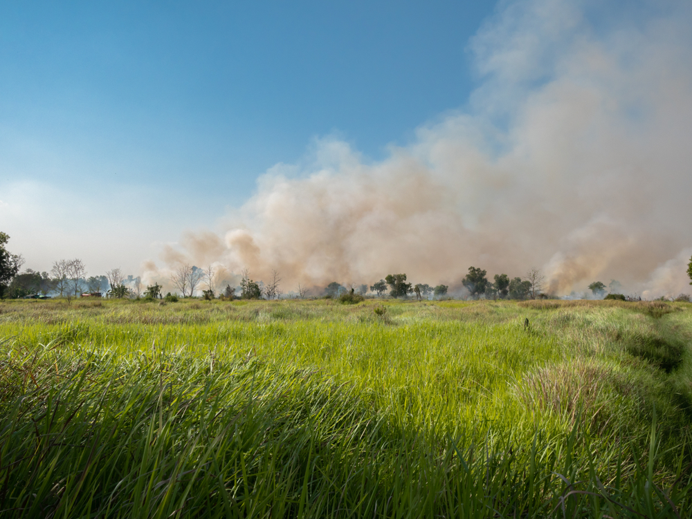 Farmer burning their field in Chiang Mai during recultivation season, the overall worst time to visit