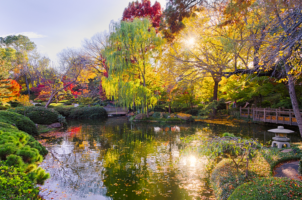 Japanese botanic gardens in fall in Dallas/Fort Worth, one of the top 5 cheap places to travel to in the US