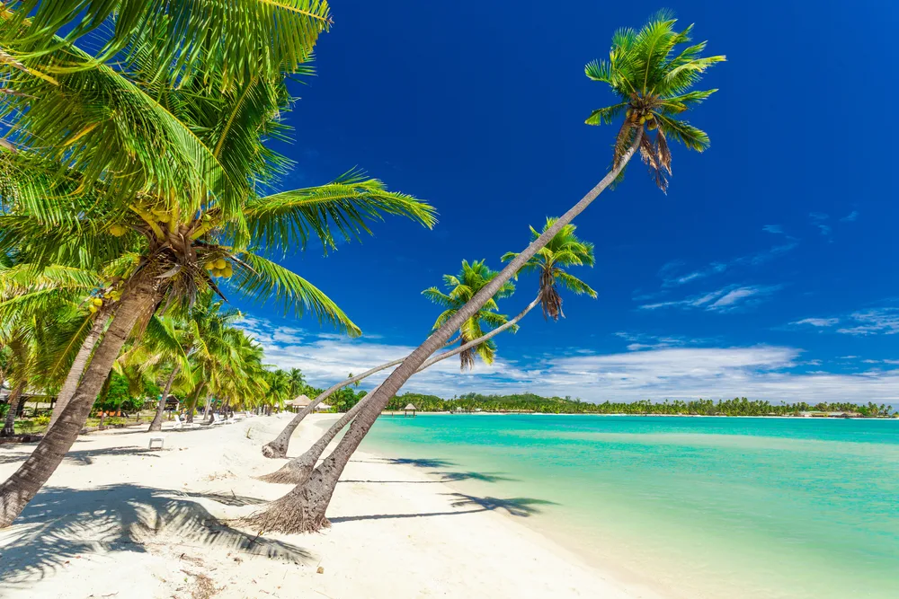 Palm trees jut out over a white sand beach at Plantation Island in Fiji