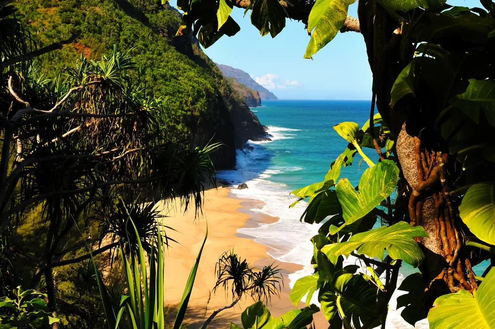 A peek down Kalalau Trail with greenery framing the shot in Kauai, Hawaii, one of the 2 Hawaiian islands worth visiting for a honeymoon destination