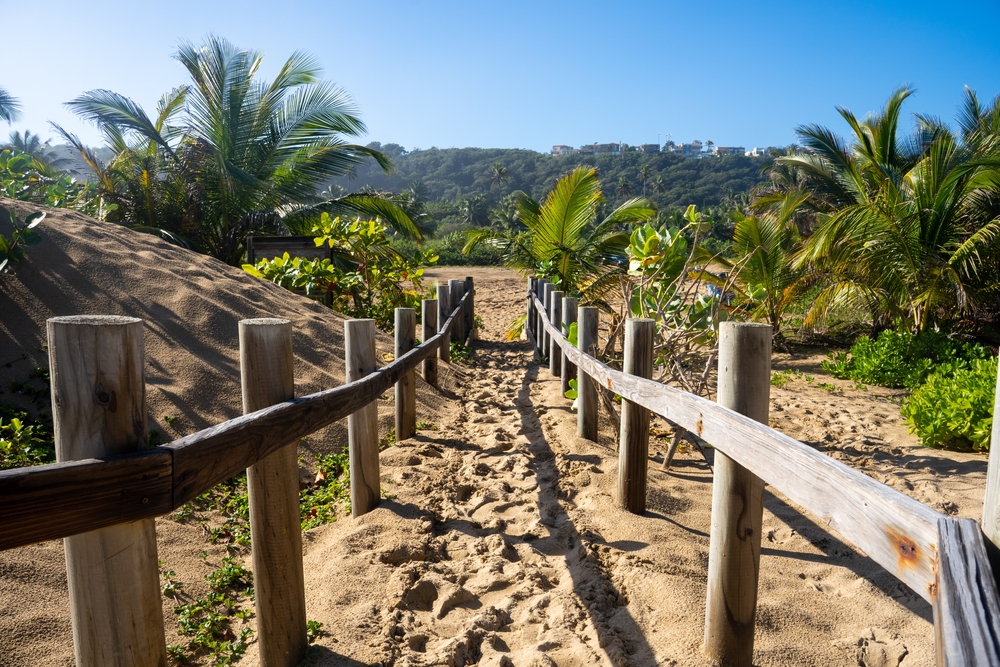 Artistic photo with a wooden fence on either side of a sandy path leading to the ocean