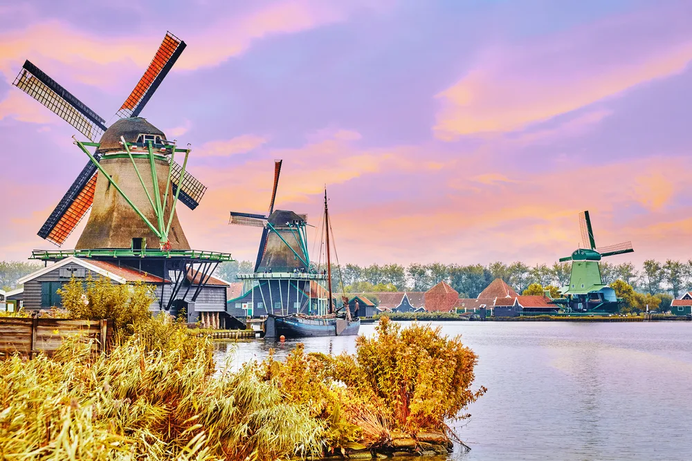 Cool view of colorful windmills, as seen in autumn, under a purple sky in Amsterdam