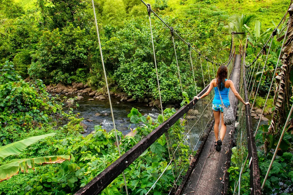 Woman walking across a suspension bridge for a guide titled What It Costs to Visit Fiji, pictured over the Wainibau stream on Taveuni