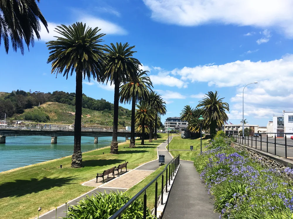 Picturesque view of a bunch of trees running along the bay in Gisborne, one of our favorite areas to stay in New Zealand