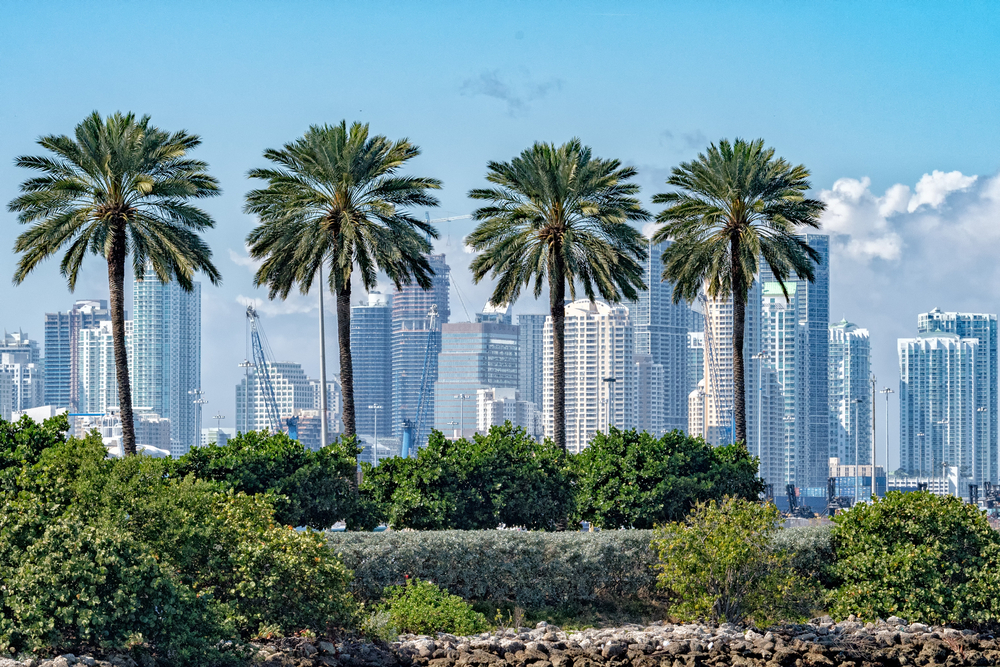 Aerial view of Miami downtown skyline obscured by 4 tall palm trees for a list of the best East Coast spots to vacation