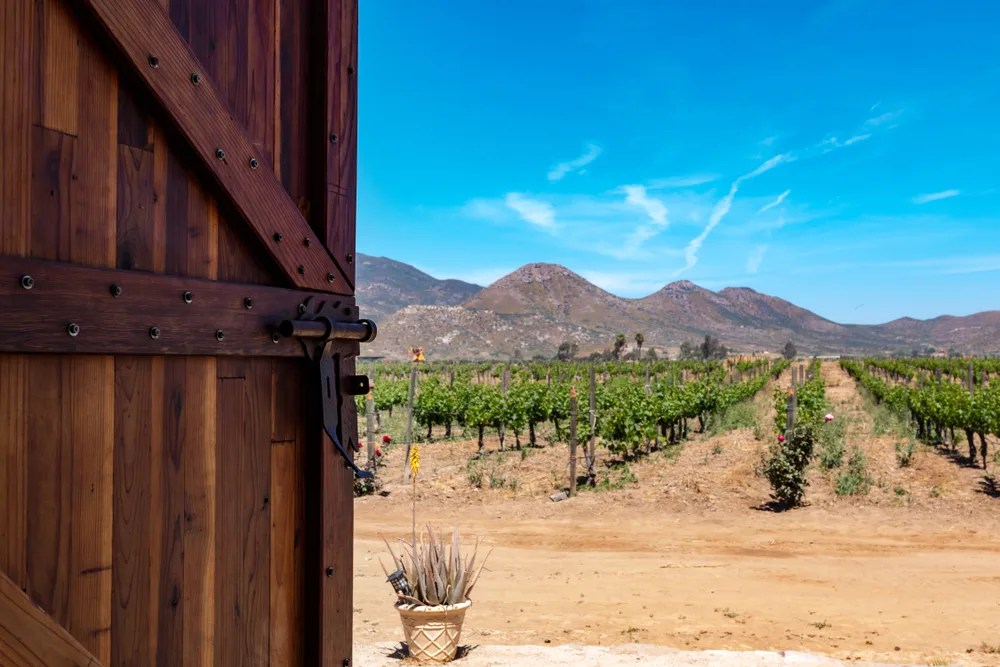 Photo of an open door in Ensenada pictured for a guide to the best places to visit in Baja California