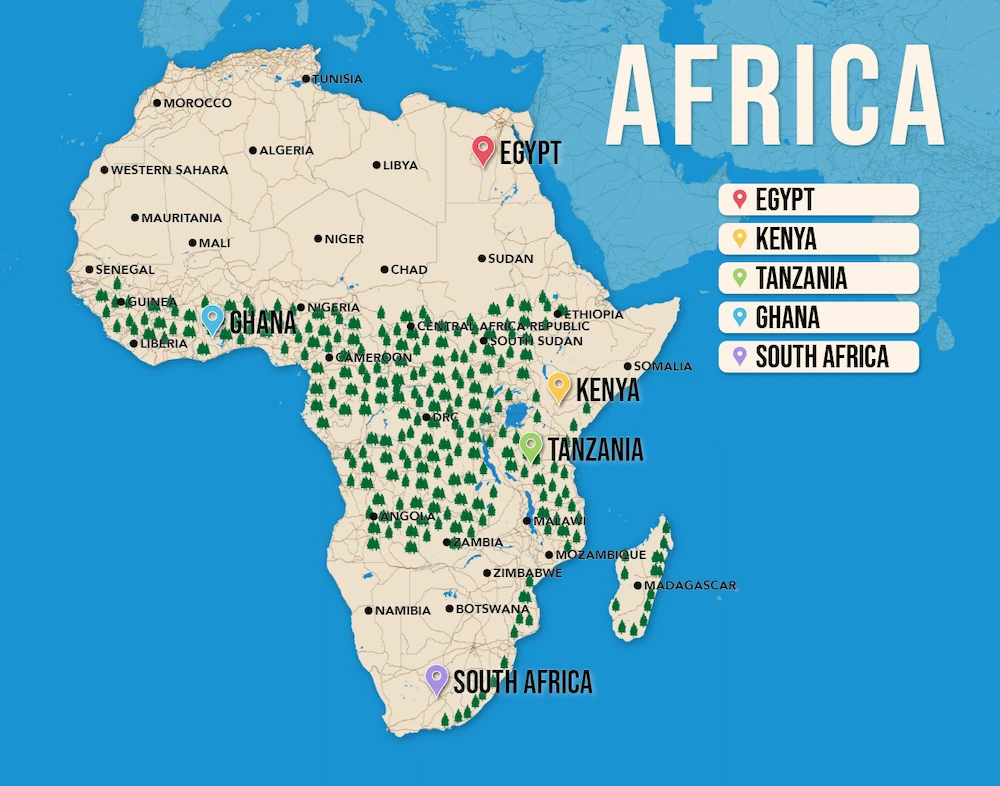 Where to Stay in Africa map in vector format featuring the best areas of town