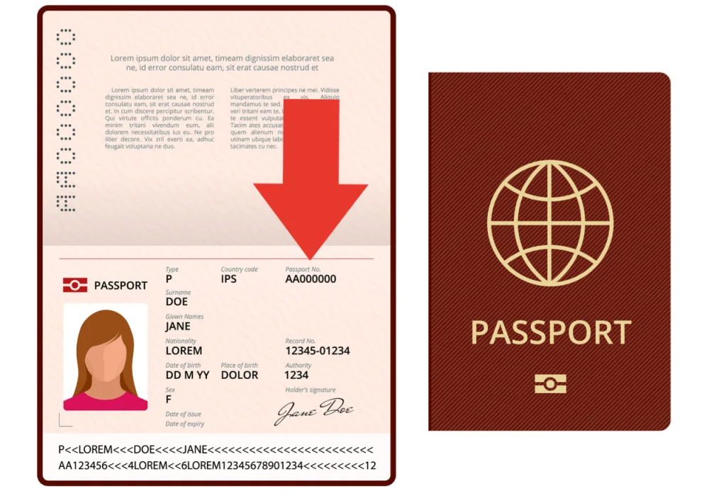 Passport vector concept with red arrow pointing to the location of the passport travel document number on the upper right corner of the passport page