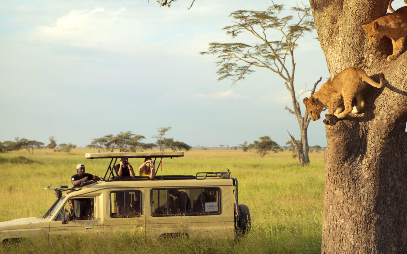 Is the Serengeti Safe to Visit in 2023? | Safety Concerns
