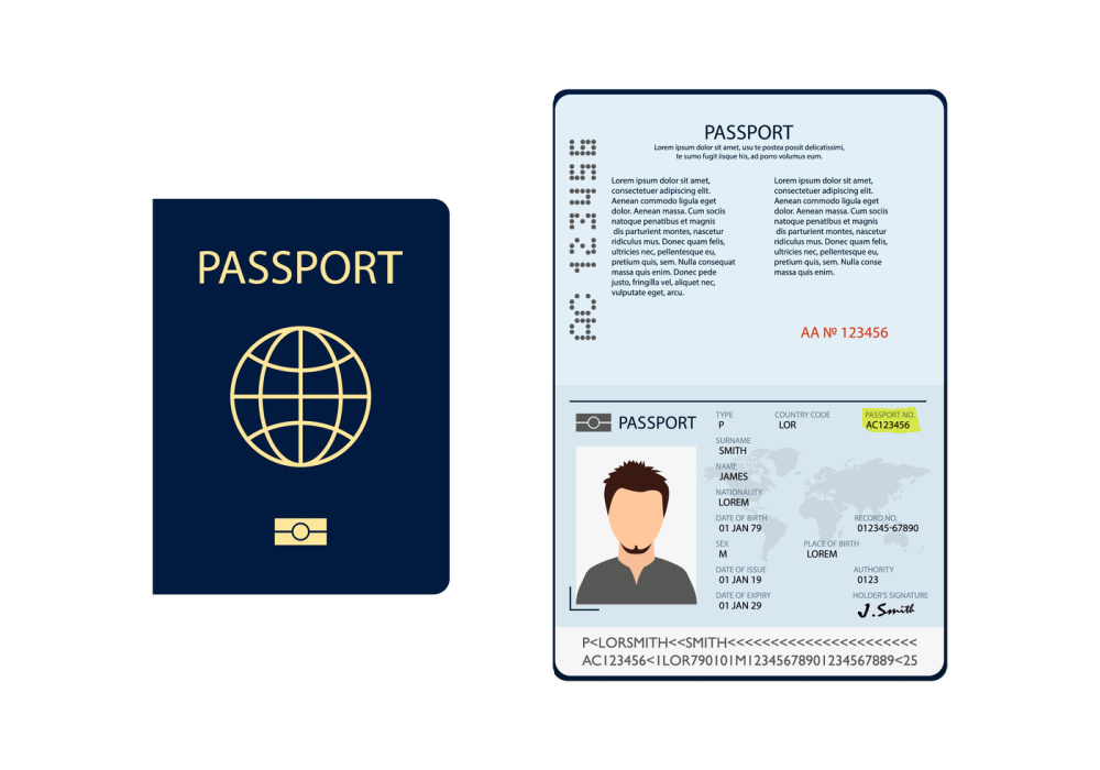 Passport travel document number shown highlighted on a sample vector image of a passport data page