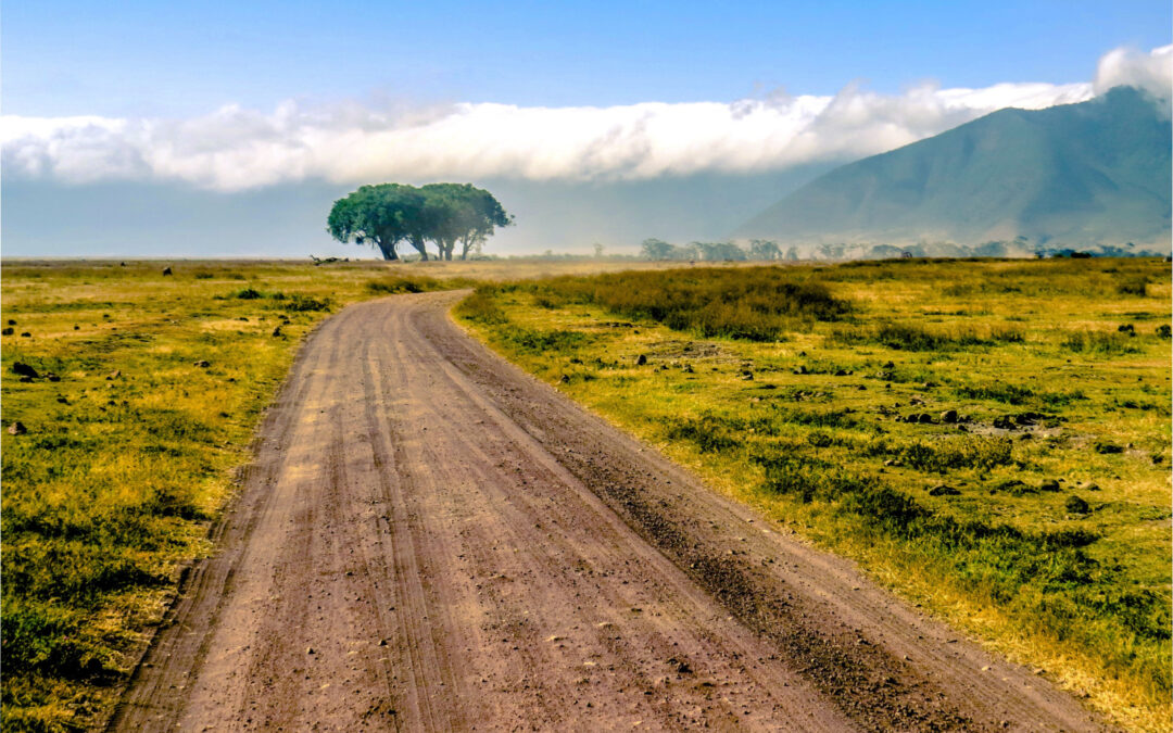 💲 What a Trip to Tanzania Costs in 2025 | Average Prices