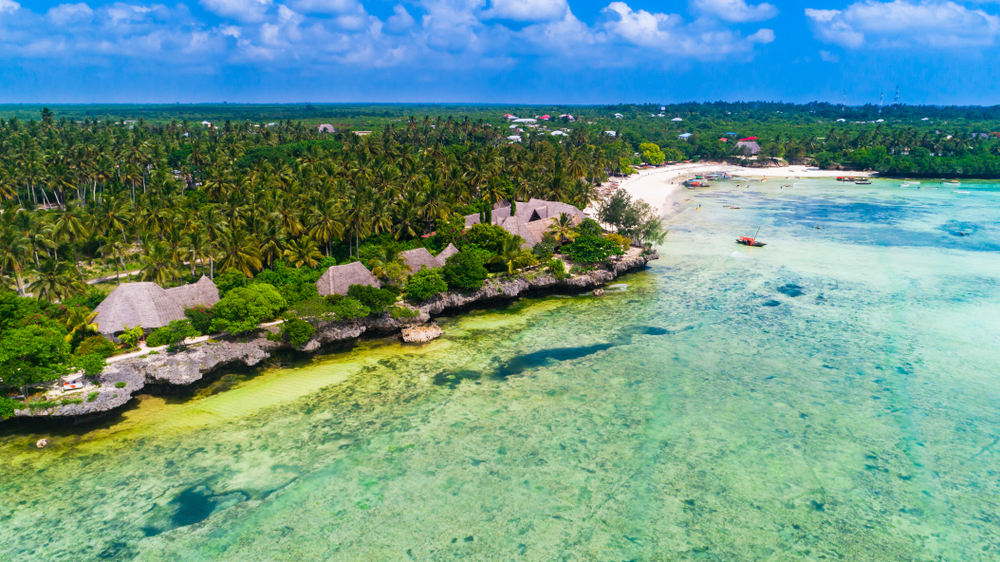 A small village on the edge of the rocky beach surrounded by coconut trees, and at the bottom of the rocks, a crystal clear water can be seen. 