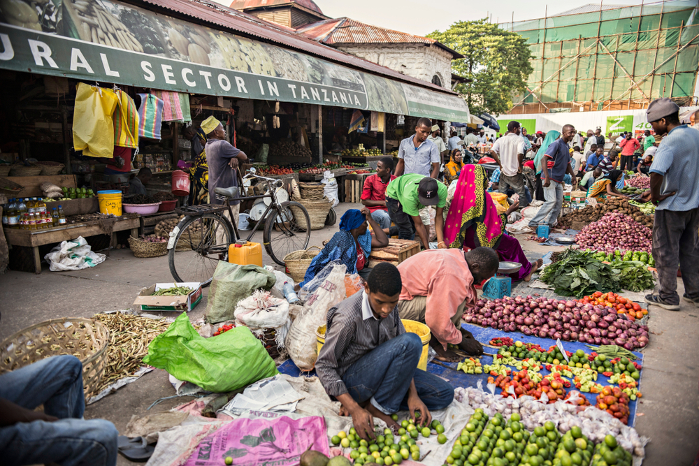 As a featured image for a guide to the average cost of a trip to Tanzania, a photo of a fruit and vegetable market in Stone Town, Zanzibar