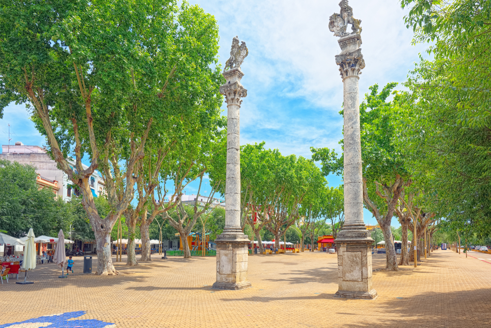 The opposite historical columns in Alameda, one of the best areas to stay in Seville, two animal figures stands on the top of the columns surrounded by trees in a park.