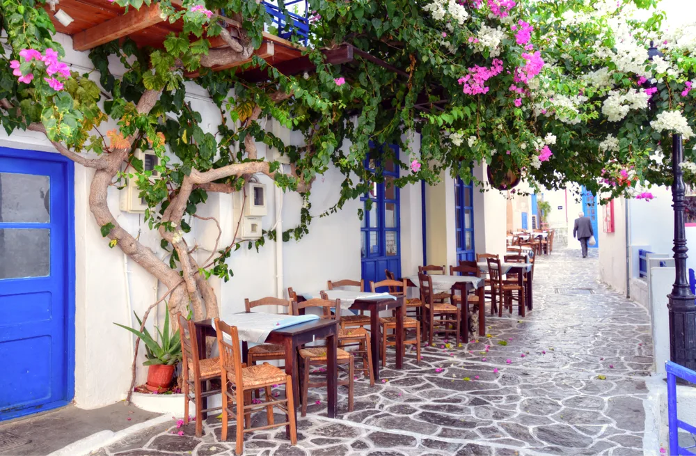 A narrow alley with outdoor restaurant tables and chairs below a large flowering bush blooming during the best time to visit Milos.