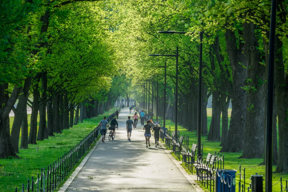 As an image for a piece titled Trip to Washington DC Cost, People jogging and cycling on a walking area covered by large green trees in an early morning.