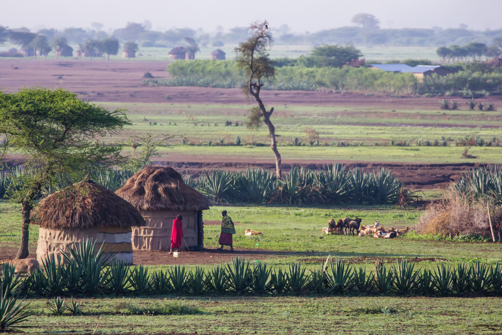 Person walking into a grass and dirt hut in Tanzania
