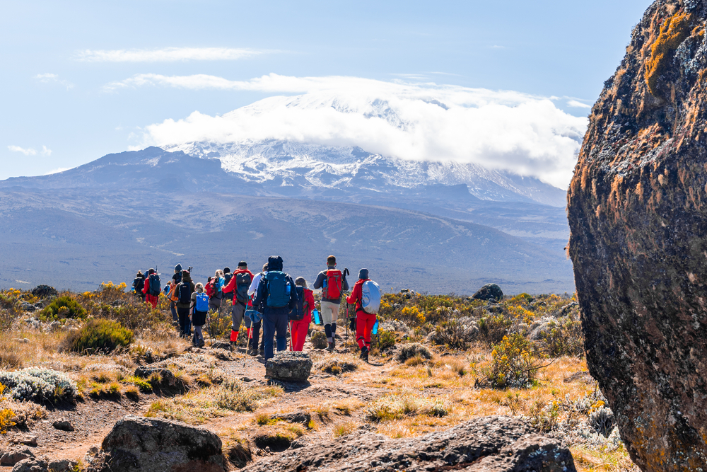 A group of people can be seen trekking towards a very tall snowy mountain where its peak can be seen with a snow cap. 