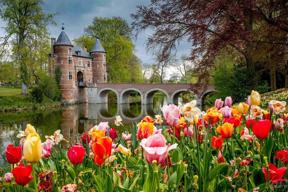 Yellow and Red Tulips blooming beside a river where a footbridge and a small castle in seen in background, an image for an article about trip cost to Belgium.