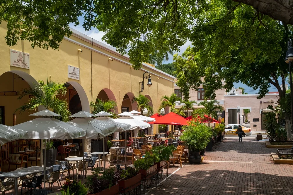 White restaurant umbrellas overshadowed by large trees in Santa Lucia Park.
