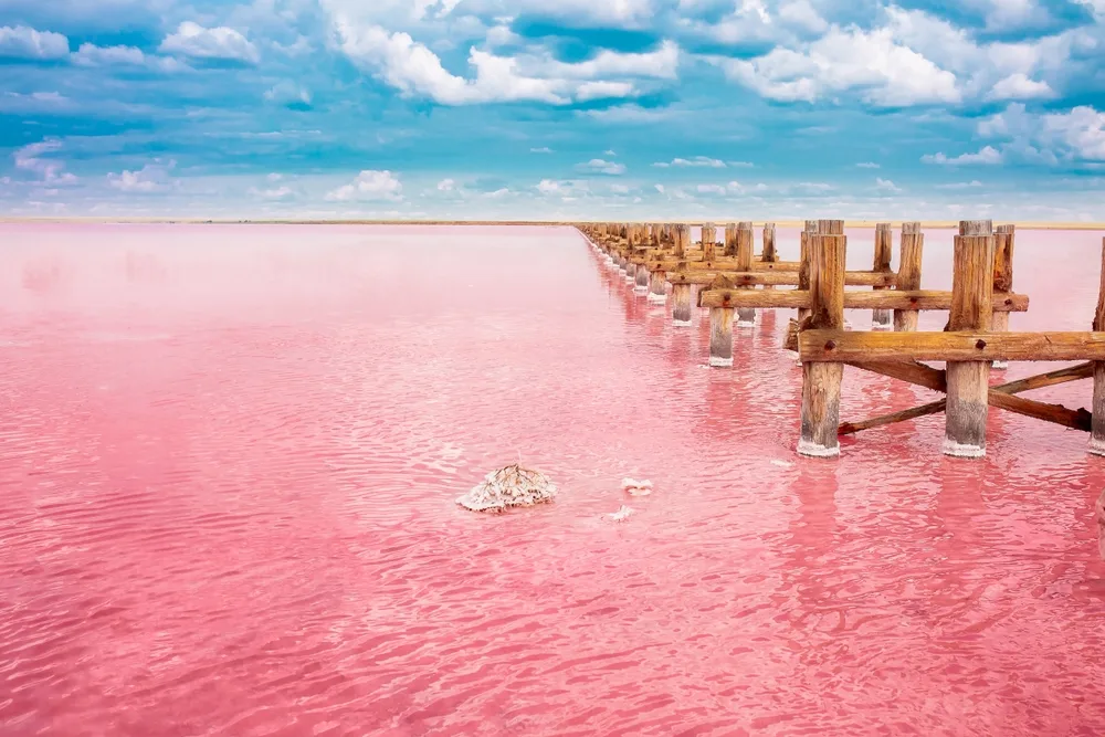 Gorgeous pink lake in Senegal pictured during the worst time to visit