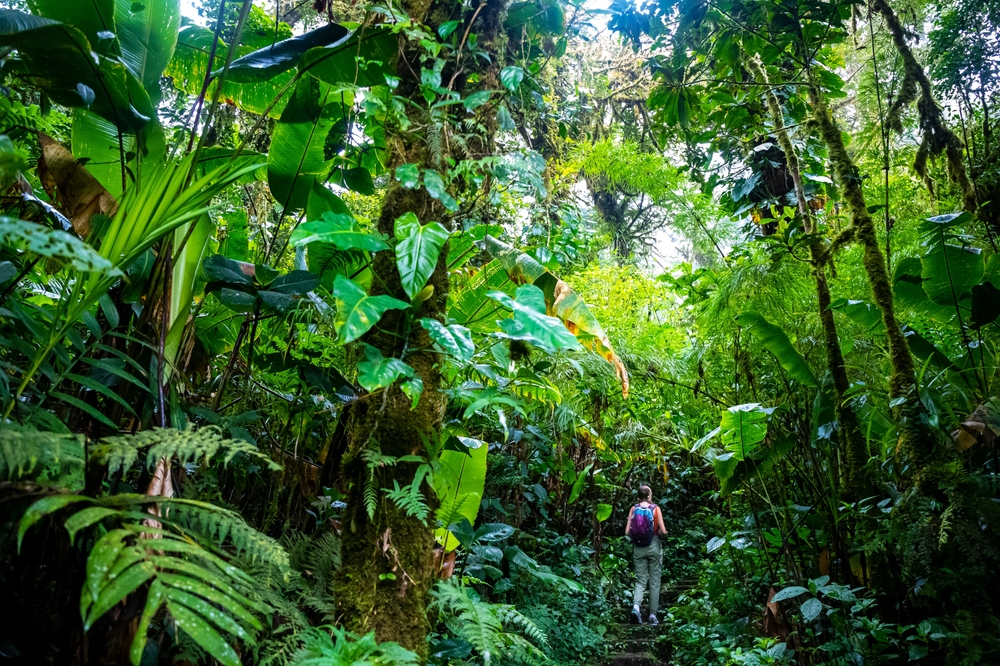 Solo female traveler hikes through Monteverde Cloud Forest in Costa Rica, listed as one of the best solo travel places in the world