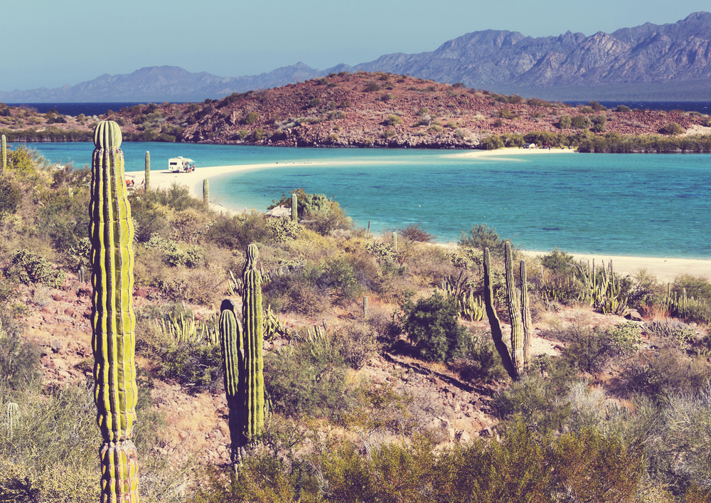 For a guide to the best areas to stay in Mexico, a photo of the picturesque sandy banks of the lake in Baja California with a cactus in the foreground