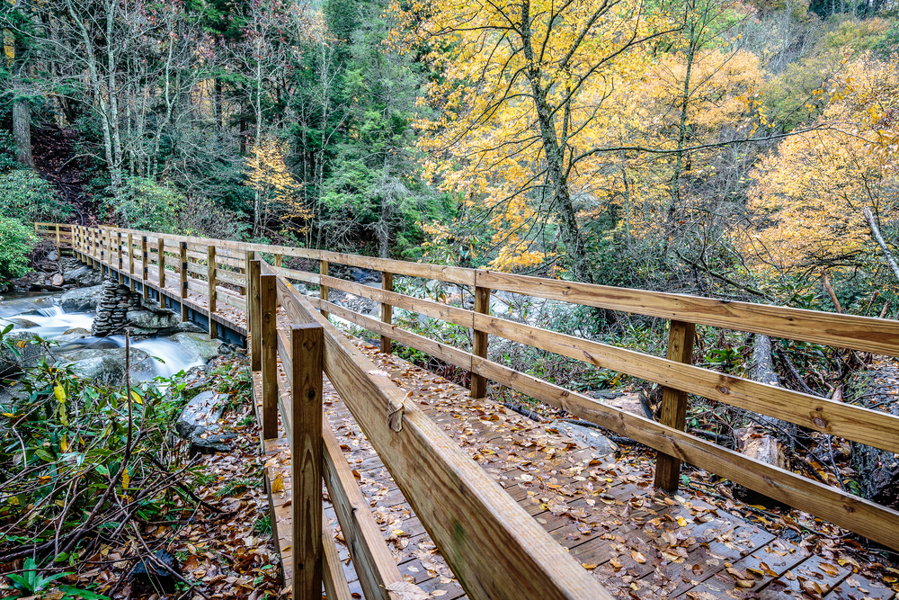 A wooden foot bridge crossing a riven with fallen dried leaves during an autumn season.