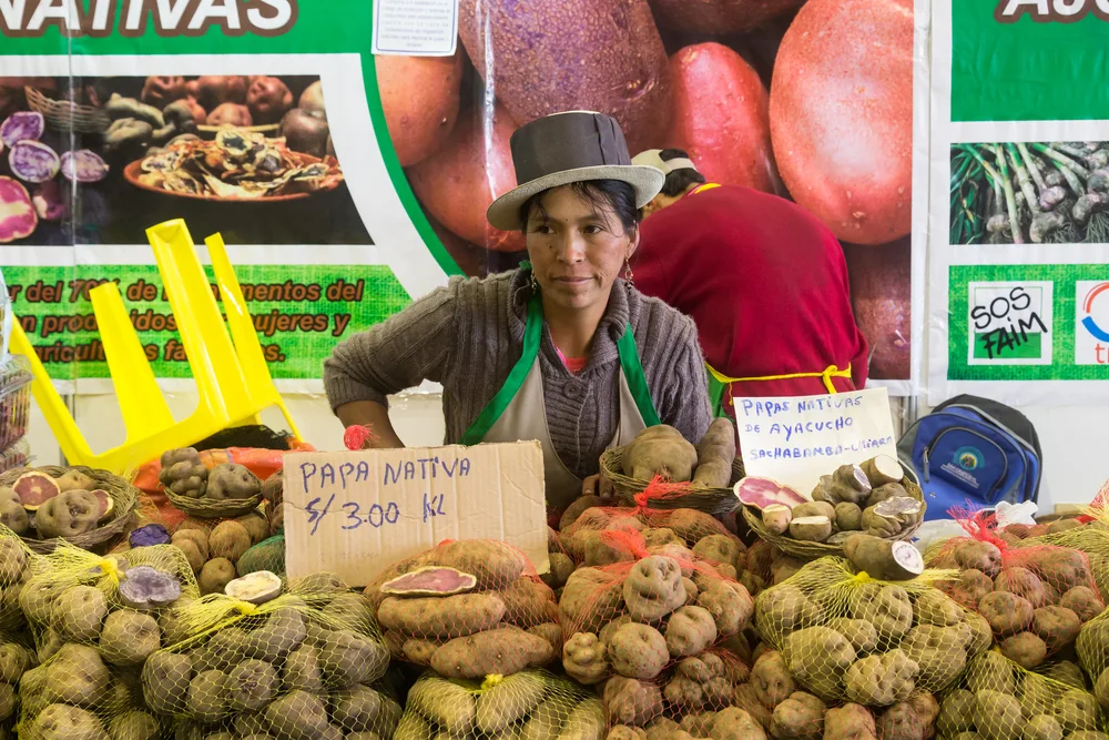 A local vendor selling her bags of potatoes in a market with a makeshift signage made from cardboard box, an image for an article about trip cost to Peru.