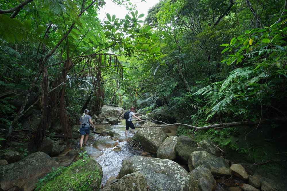 A couple can be seen trailing a rocky tropical river. 