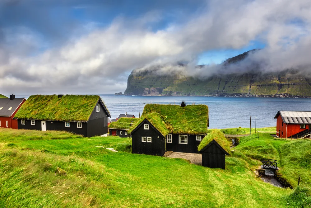 Houses beside the ocean with green surroundings and some house's roofs are strangely covered in grass. 